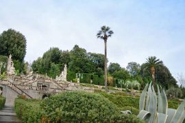 2015 spring flower show