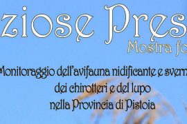 uccelli-padule-discoverpistoia