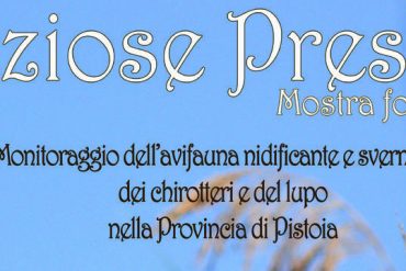 uccelli-padule-discoverpistoia