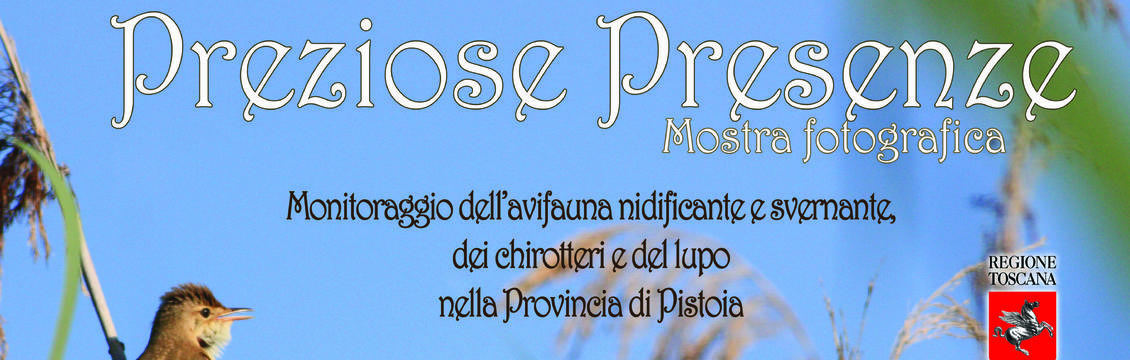 uccelli-padule-discoverpistoia