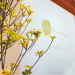 discover-pistoia-presentazione