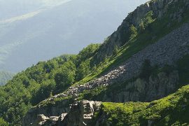 montagna-pistoiese-grifoni-discoverpistoia
