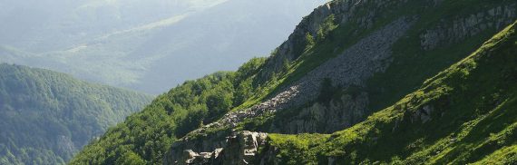 montagna-pistoiese-grifoni-discoverpistoia