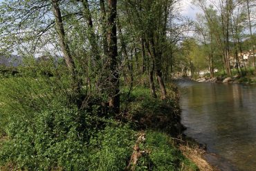 Lungo i sentieri d'acqua
