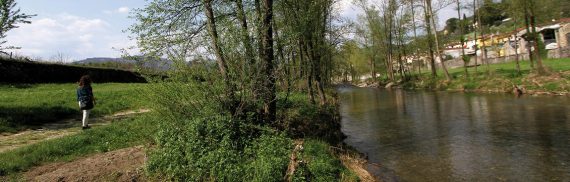 Lungo i sentieri d'acqua