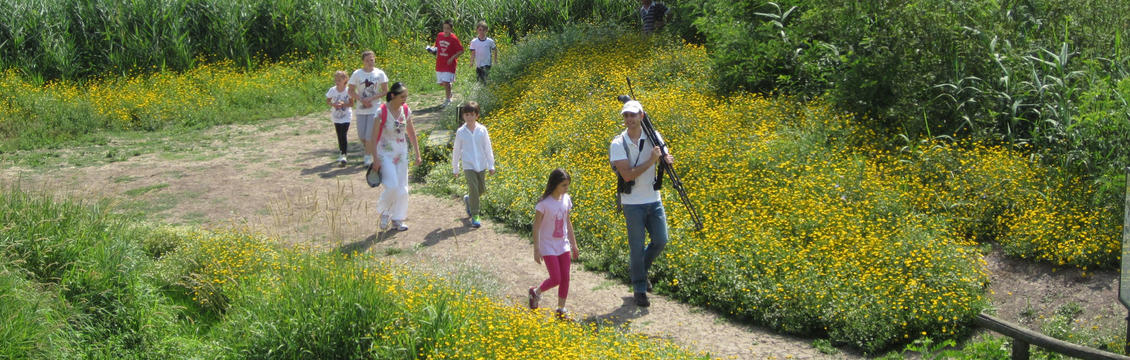campo-estivo-naturalisti-discoverpistoia