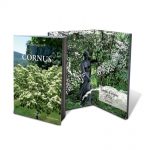 cornus-11
