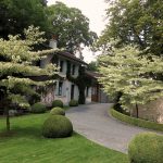 cornus-7
