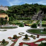 flower-show-2