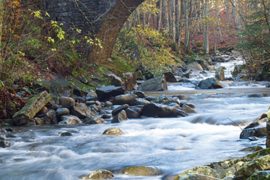 storia segreti e natura della montagna pistoiese-discoverpistoia-pistoia