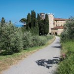 castello-vinacciano-2