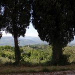 castello-vinacciano-5