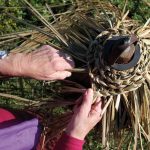 intrecciare-erbe-palustri-4