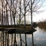 palude-fucecchio-9