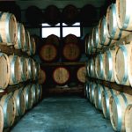 botti-tacinaia-discoverpistoia