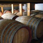 azienda-tacinaia-discoverpistoia