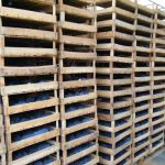 fruttai-tacinaia-discoverpistoia