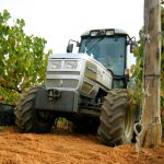 azienda-tacinaia-discoverpistoia