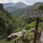 orsigna_naturart_04