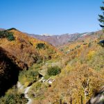 orsigna_naturart_09