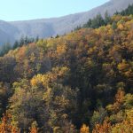 orsigna_colori_autunno