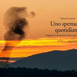 padule_fucecchio_naturart_20