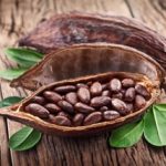 cacao-gelateria-monterosa