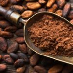 cacao-gelateria-monterosa-pistoia