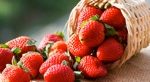 fragole-gelateria-monterosa