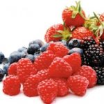 frutti-di-bosco-monterosa-pistoia