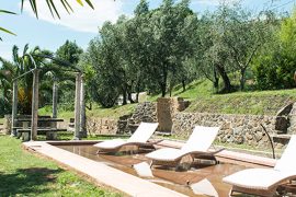 il-poggetto-pieve-a-nievole
