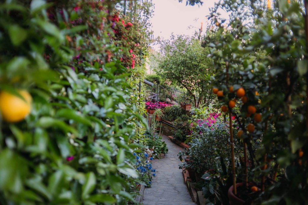 la campagna dentro le mura i giardini segreti di buggiano castello