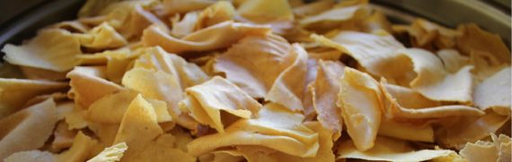 Sagra del brigidino-Lamporecchio