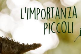 L'importanza di essere piccoli-festival musica e poesia