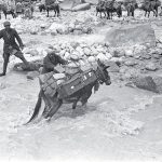 Guado della spedizione Tucci nella Valle del Chandra (Lahaul, India) 1933