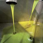 Produzione olio