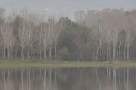 La Voce del Silenzio