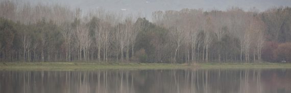 La Voce del Silenzio