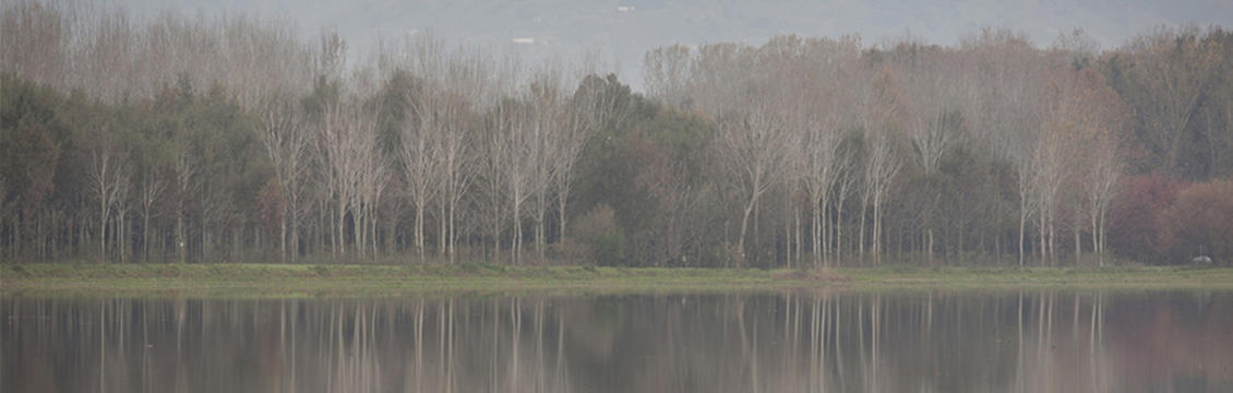 La Voce del Silenzio