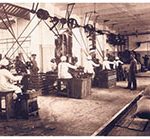 Azienda Polli