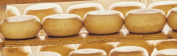 Sapori d'autunno