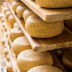 Forme di pecorino