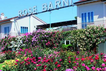 rose-barni-discoverpistoia