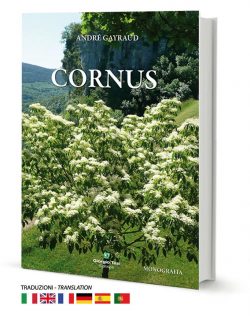 Cornus