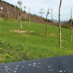 sospeso-terra-cielo