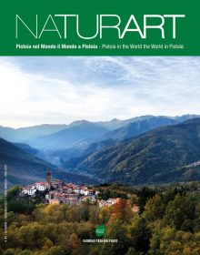 NATURART_41