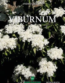copertina_imm