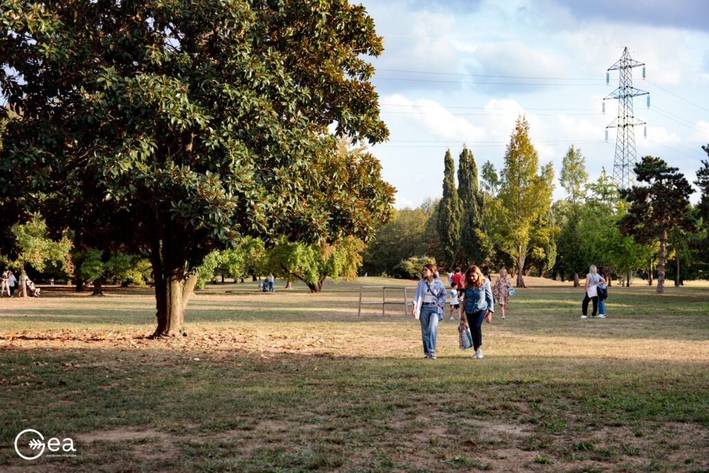 Open Days Gea ottobre 2023