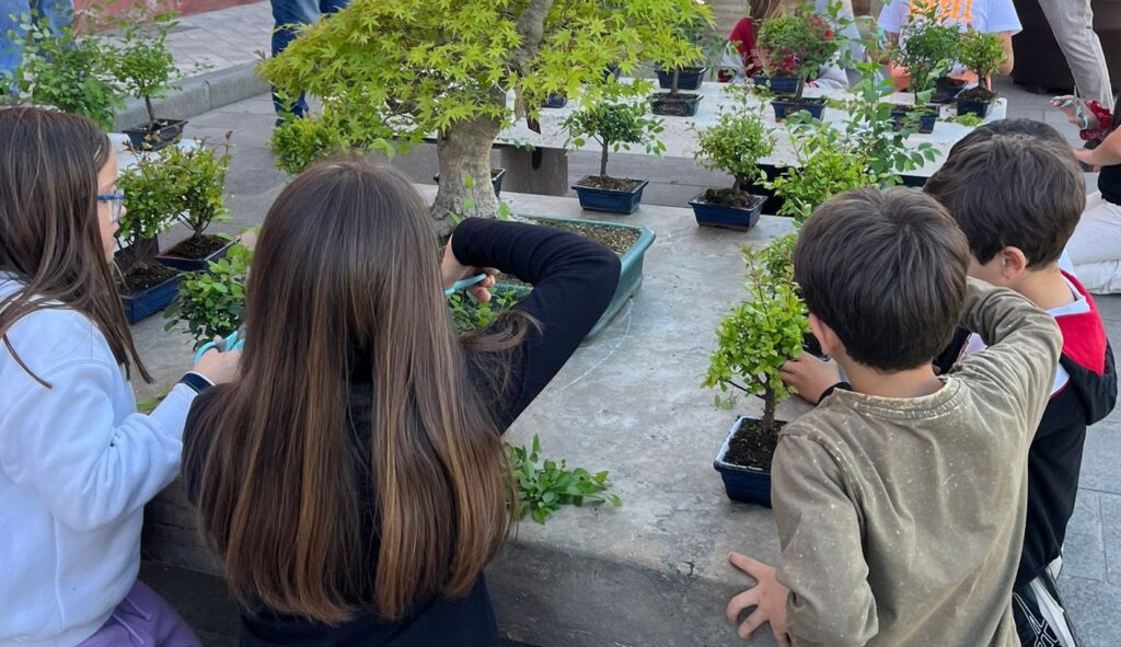 laboratorio di Bonsai con gli esperti di Franchi Bonsai