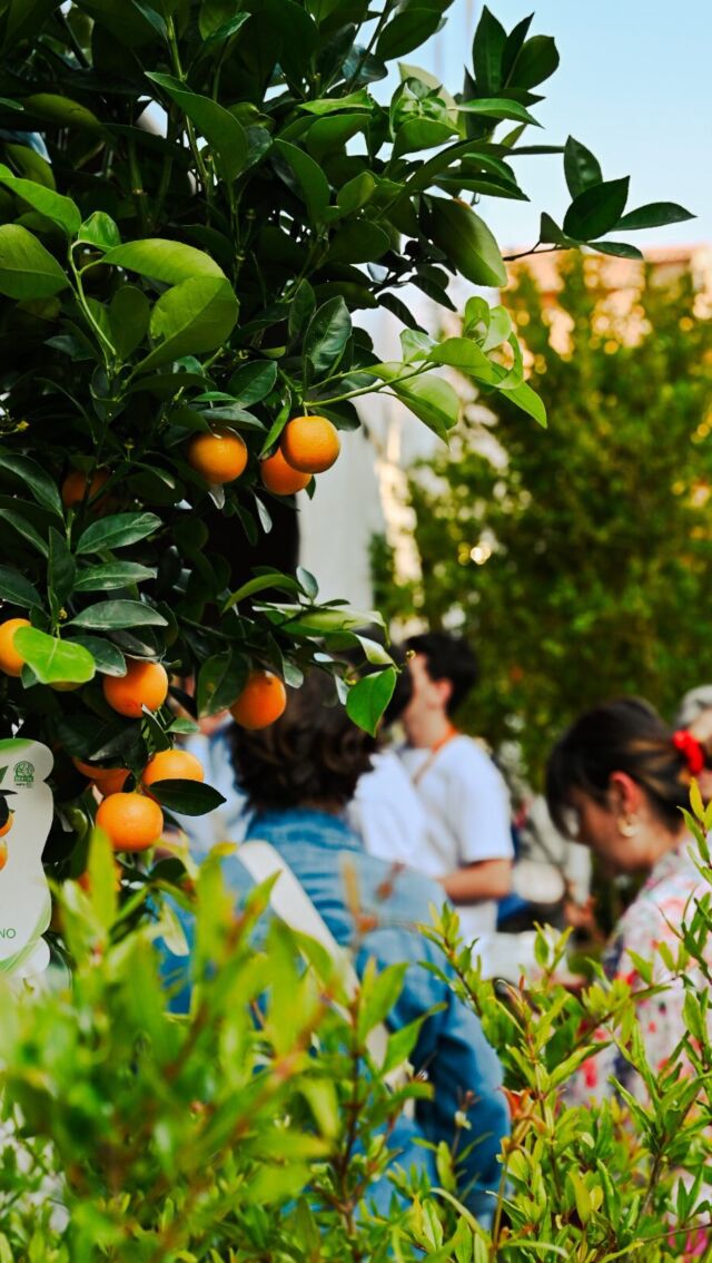 Oggi al via la XV edizione di @dialoghidipistoia ☘️
“Siamo ciò che mangiamo?”

 I Dialoghi quest’anno parleranno del rapporto con il cibo, di sostenibilità, di prevenzione, di come gli alimenti hanno viaggiato e come cambieranno in futuro.

💚Come sempre @giorgiotesigroup Green Partner dell’iniziativa!

#dialoghidipistoia #greenpartner #giorgiotesigroup #discoverpistoia
